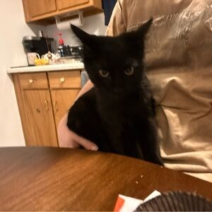 Meet your Posher, Claire